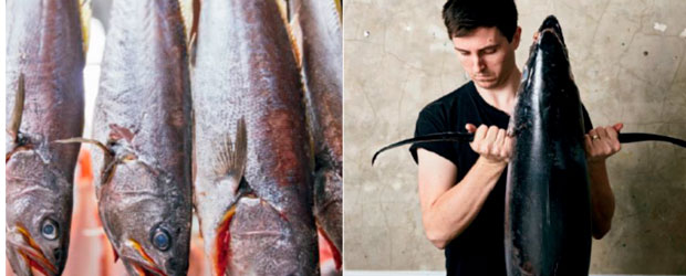 La maduración en seco del pescado de Josh Niland, a fondo en el nuevo libro de Planeta Gastro
