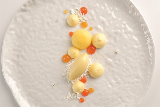 Sorbete de jengibre y pasión con coco y zanahoria, de Xavi Donnay