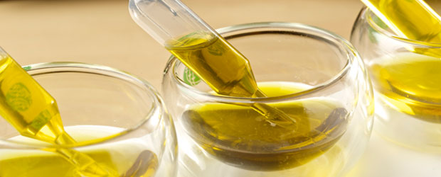 Los aceites de oliva monovarietales y su incidencia en alta cocina