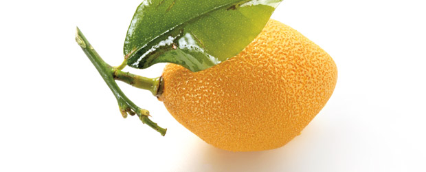 le citron