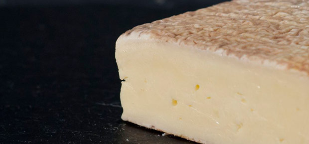 Taleggio