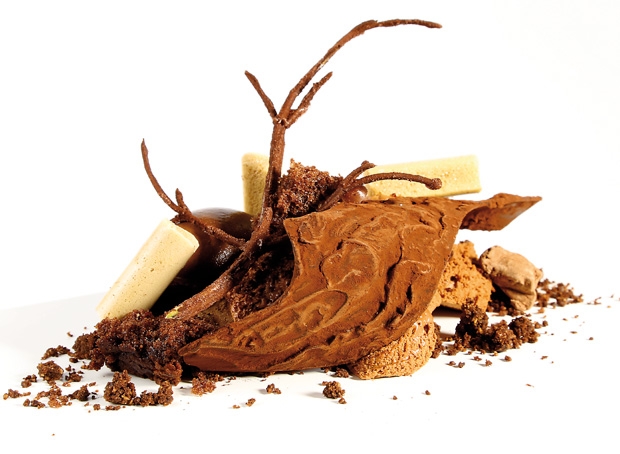 Corteza de chocolate (Chocolate bark), de Jordi Puigvert Corteza de chocolate (Chocolate bark), de Jordi Puigvert