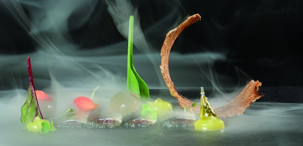 Plato de verema, de Jordi Guillem Plato de verema, de Jordi Guillem