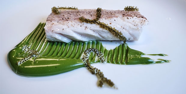 Lubina cocida en kombu y holandesa de plancton, de Sergio y Javier Torres Lubina cocida en kombu y holandesa de plancton, de Sergio y Javier Torres