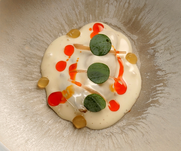 Ostra con suave escabeche con Manjar Blanc de piñones y gel de lima, de Fonda España Ostra con suave escabeche con Manjar Blanc de piñones y gel de lima, de Fonda España