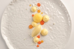 Imagen de Sorbete de jengibre y pasión con coco y zanahoria, de Xavi Donnay