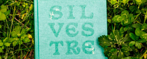 Recetas y tips para descubrir el valor gastronómico de las plantas silvestres en el libro de BCC Imagen de Recetas y tips para descubrir el valor gastronómico de las plantas silvestres en el libro de BCC