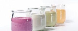 Imagen de Variables del yogur salado