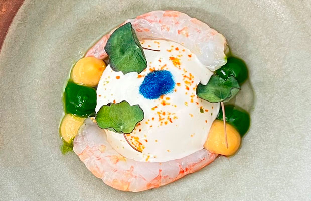Quisquilla de Santa Pola con emulsión de ostras y bullabesa, de Fran Martínez Quisquilla de Santa Pola con emulsión de ostras y bullabesa, de Fran Martínez