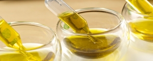 Imagen de Los aceites de oliva monovarietales y su incidencia en alta cocina