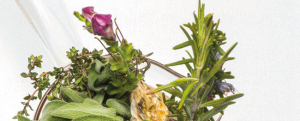 Imagen de 5 plantas silvestres que esconden un gran potencial gastronómico