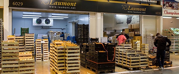 Imagen de Laumont potencia la venta online de trufa fresca